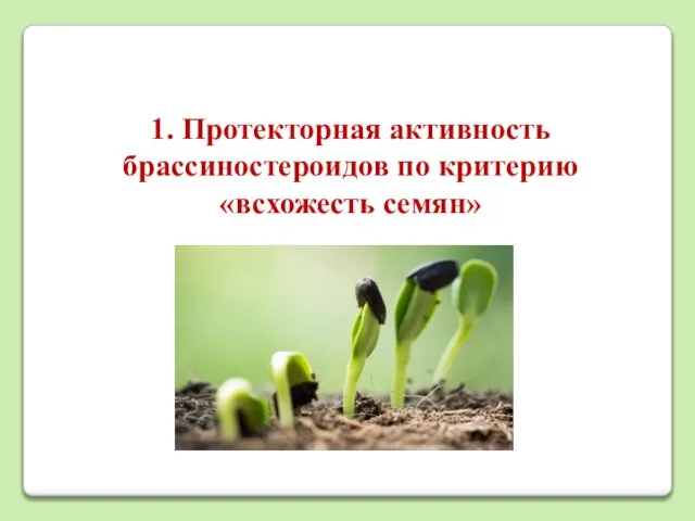 1. Протекторная активность брассиностероидов по критерию «всхожесть семян»