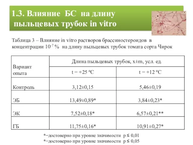 1.3. Влияние БС на длину пыльцевых трубок in vitro * ̶ достоверно