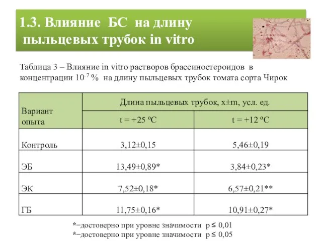 1.3. Влияние БС на длину пыльцевых трубок in vitro * ̶ достоверно