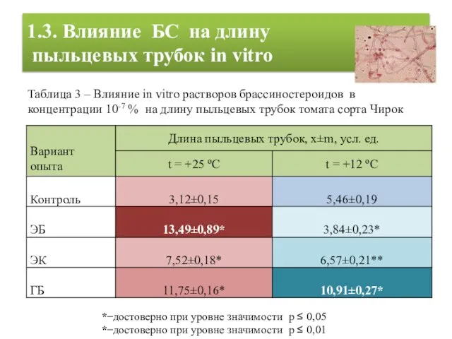 1.3. Влияние БС на длину пыльцевых трубок in vitro * ̶ достоверно