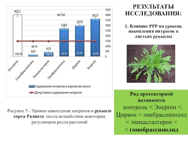 РЕЗУЛЬТАТЫ ИССЛЕДОВАНИЯ: 1. Влияние РРР на уровень накопления нитратов в листьях рукколы