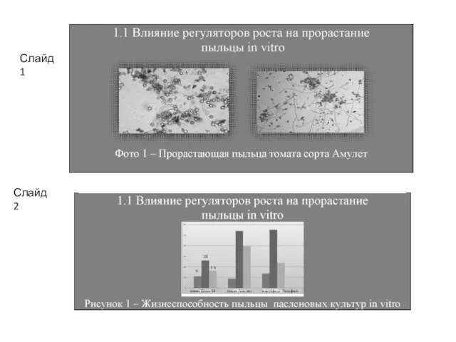 Слайд Слайд 1 Слайд 2