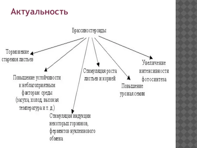 Актуальность