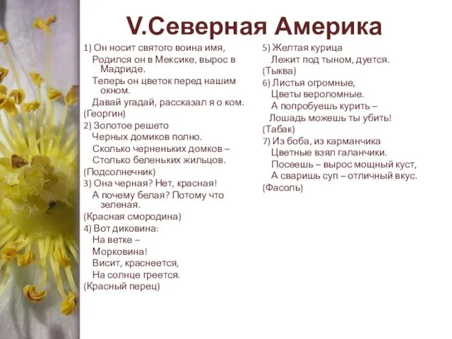 V.Северная Америка 1) Он носит святого воина имя, Родился он в Мексике,