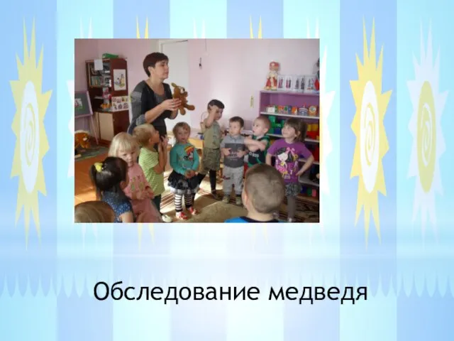 Обследование медведя