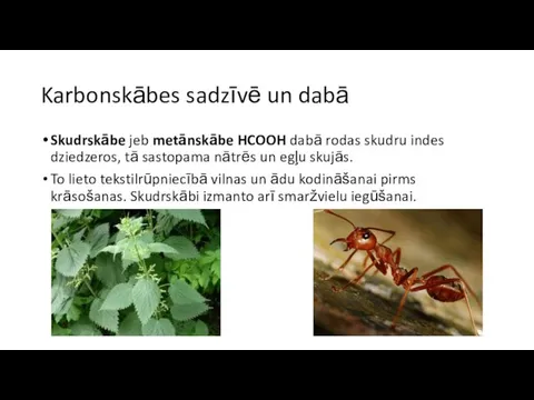 Karbonskābes sadzīvē un dabā Skudrskābe jeb metānskābe HCOOH dabā rodas skudru indes