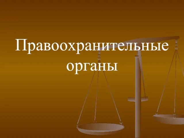 Правоохранительные органы