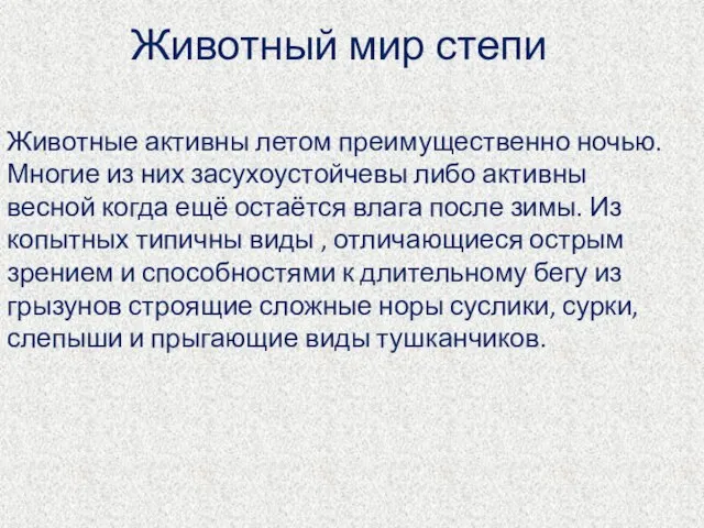 Животный мир степи Животные активны летом преимущественно ночью. Многие из них засухоустойчевы