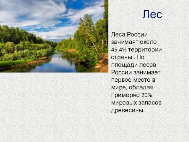 Лес Леса России занимаят около 45,4% территории страны . По площади лесов