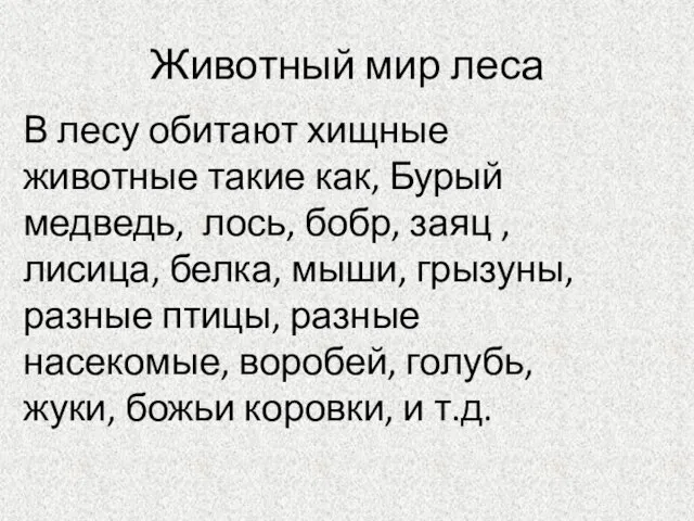 Животный мир леса В лесу обитают хищные животные такие как, Бурый медведь,