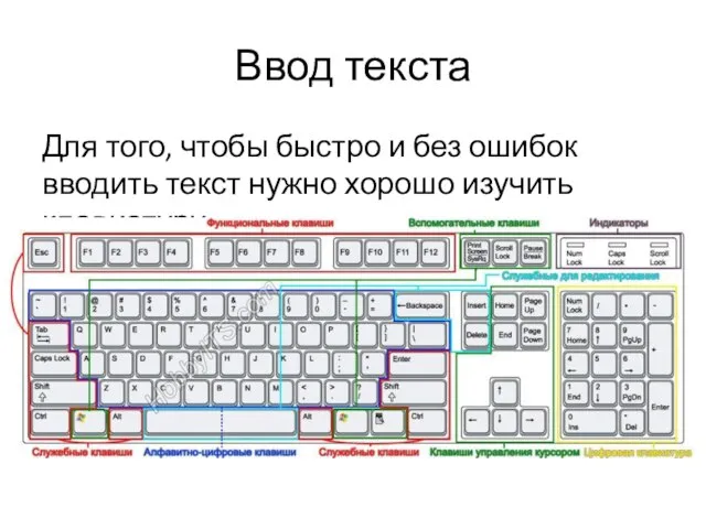 Ввод текста Для того, чтобы быстро и без ошибок вводить текст нужно хорошо изучить клавиатуру: