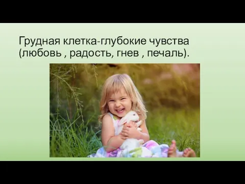 Грудная клетка-глубокие чувства (любовь , радость, гнев , печаль).