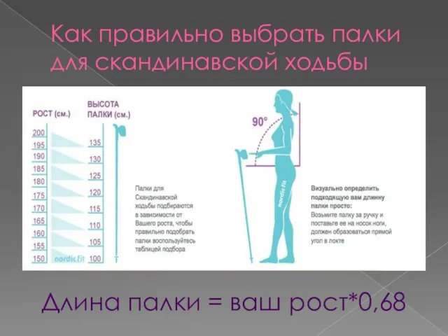 Как правильно выбрать палки для скандинавской ходьбы Длина палки = ваш рост*0,68