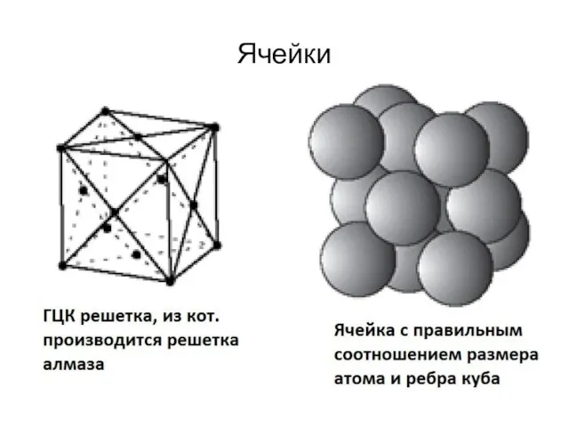 Ячейки