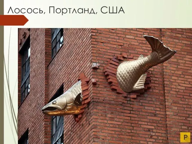 Лосось, Портланд, США