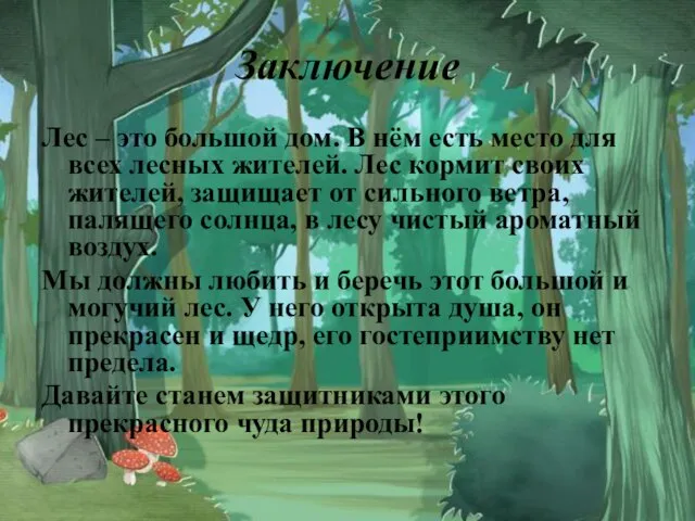 Заключение Лес – это большой дом. В нём есть место для всех