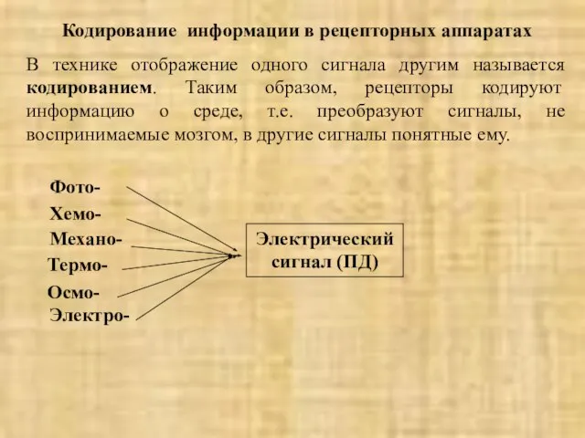 Кодирование информации в рецепторныx аппаратах В технике отображение одного сигнала другим называется