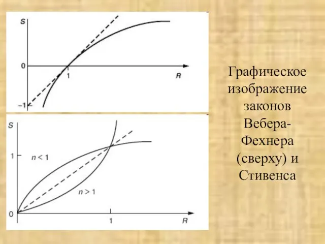 Графическое изображение законов Вебера-Фехнера (сверху) и Стивенса