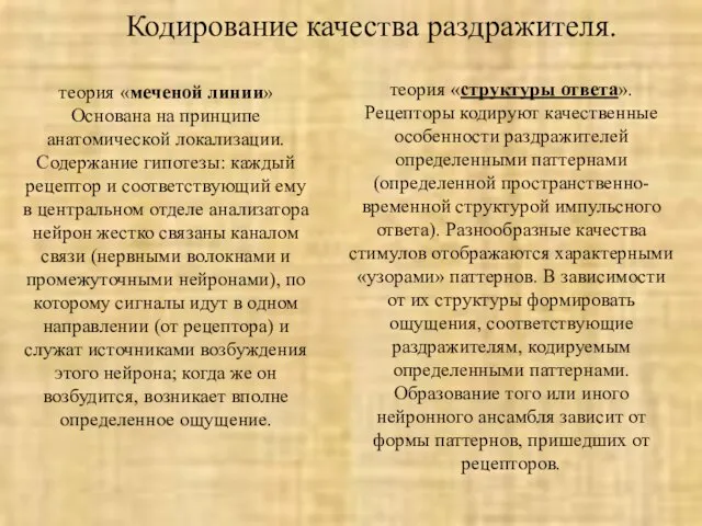 Кодирование качества раздражителя. теория «меченой линии» Основана на принципе анатомической локализации. Содержание