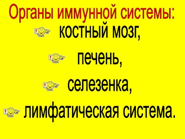 Органы иммунной системы: костный мозг, печень, селезенка, лимфатическая система.