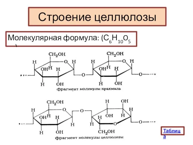 Строение целлюлозы Молекулярная формула: (С6Н10O5 )n Таблица