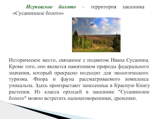 Исуповское болото – территория заказника «Сусанинское болото» Историческое место, связанное с подвигом