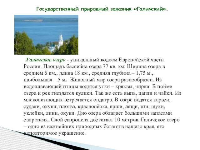 Государственный природный заказник «Галичский». Галичское озеро - уникальный водоем Европейской части России.