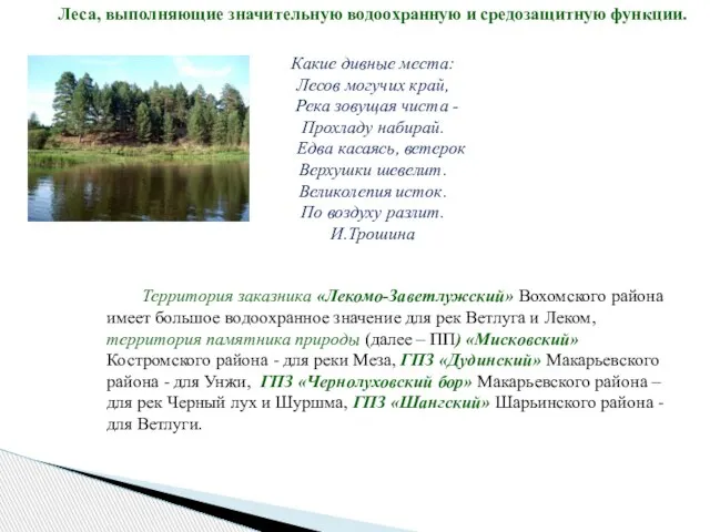 Леса, выполняющие значительную водоохранную и средозащитную функции. Какие дивные места: Лесов могучих