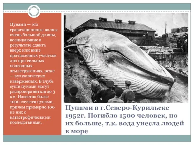 Цунами в г.Северо-Курильске 1952г. Погибло 1500 человек, но их больше, т.к. вода