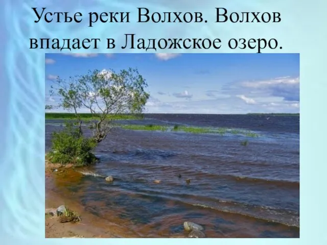 Устье реки Волхов. Волхов впадает в Ладожское озеро.