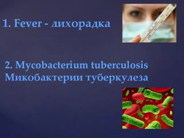 1. Fever - лихорадка 2. Mycobacterium tuberculosis Микобактерии туберкулеза