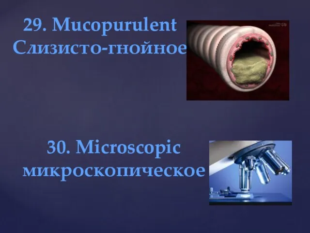 29. Mucopurulent Слизисто-гнойное 30. Microscopic микроскопическое