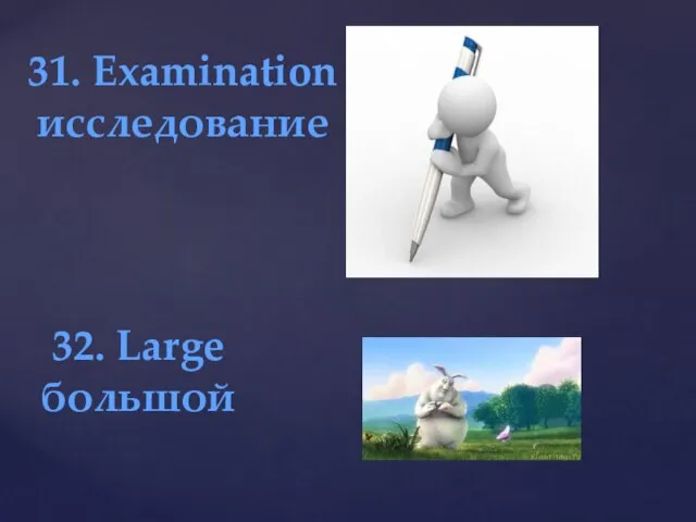 31. Examination исследование 32. Large большой