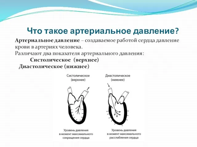 Что такое артериальное давление? Артериальное давление – создаваемое работой сердца давление крови