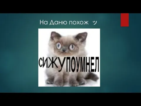 На Даню похож ッ