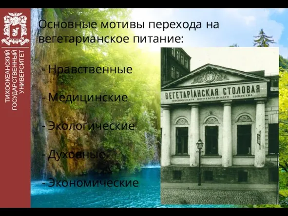 ТИХООКЕАНСКИЙ ГОСУДАРСТВЕННЫЙ УНИВЕРСИТЕТ Основные мотивы перехода на вегетарианское питание: Нравственные Медицинские Экологические Духовные Экономические