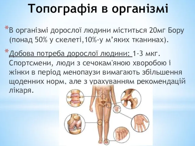 Топографія в організмі В організмі дорослої людини міститься 20мг Бору (понад 50%