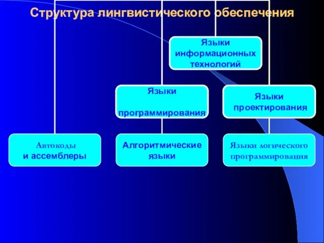 Структура лингвистического обеспечения