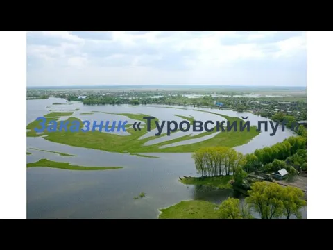 Заказник «Туровский луг»