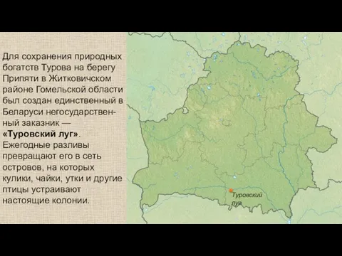 Для сохранения природных богатств Турова на берегу Припяти в Житковичском районе Гомельской