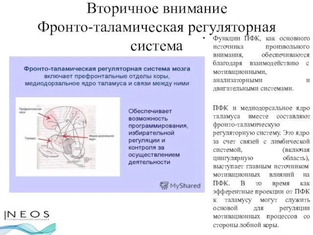 Вторичное внимание Фронто-таламическая регуляторная система Функции ПФК, как основного источника произвольного внимания,