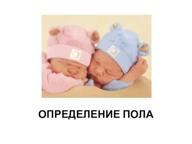 ОПРЕДЕЛЕНИЕ ПОЛА