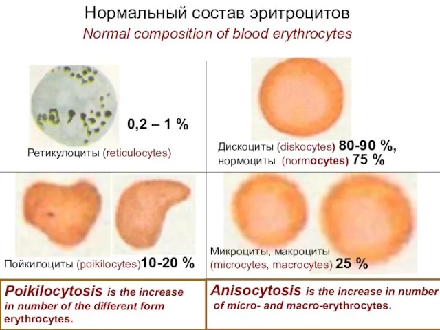 Нормальный состав эритроцитов Normal composition of blood erythrocytes Ретикулоциты (reticulocytes) Дискоциты (diskocytes)