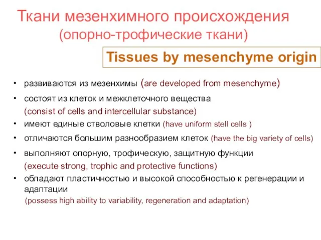 Ткани мезенхимного происхождения (опорно-трофические ткани) развиваются из мезенхимы (are developed from mesenchyme)