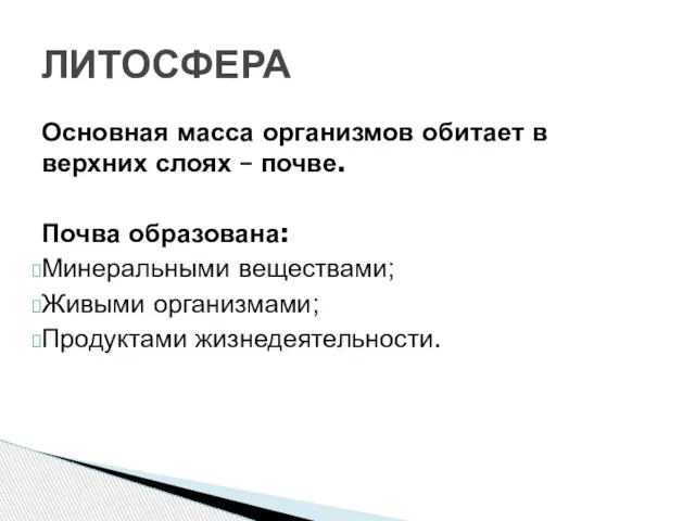 Основная масса организмов обитает в верхних слоях – почве. Почва образована: Минеральными