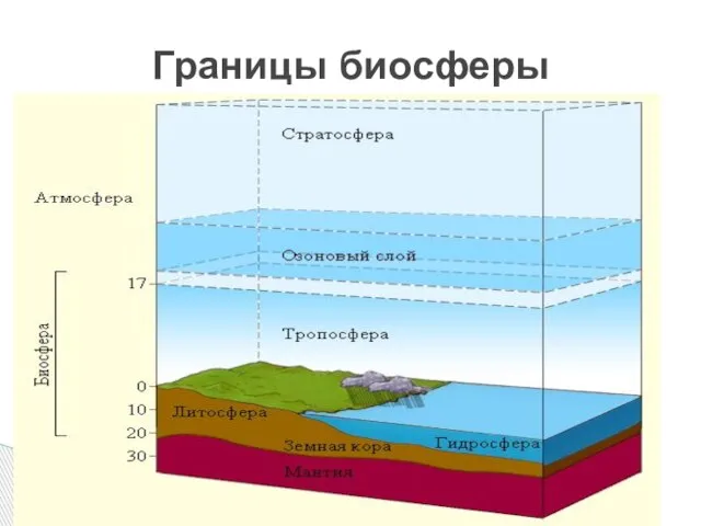 Границы биосферы