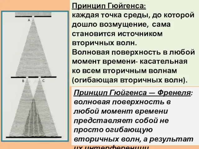 Принцип Гюйгенса — Френеля: волновая поверхность в любой момент времени представляет собой