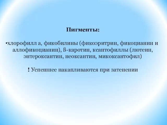 Пигменты: хлорофилл а, фикобилины (фикоэритрин, фикоцианин и аллофикоцианин), ß-каротин, ксантофиллы (лютеин, энтероксантин,