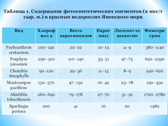 Таблица 1. Содержание фотосинтетических пигментов (в мкг/г сыр. м.) в красных водорослях Японского моря