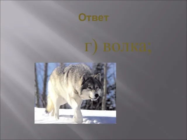 Ответ г) волка;